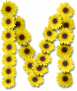 Alfabeto sunflowers .....M | The Letter M | Pinterest | Sunflowers ...