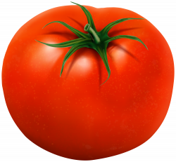 Tomato Transparent Clip Art Image | Gallery Yopriceville - High ...