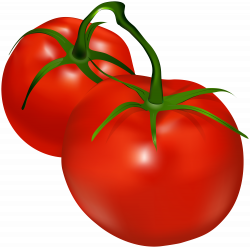 Tomatoes Transparent PNG Clip Art | Gallery Yopriceville - High ...