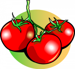 Image: Tomatoes | Food Clip Art | Christart.com