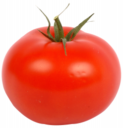 Fresh Red Tomato PNG Image | PNG Transparent best stock photos