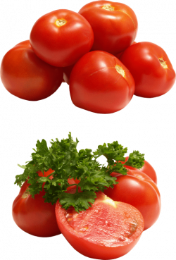 red tomatoes png - Free PNG Images | TOPpng