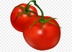 Tomato Shalgam Clip art - Tomatoes Transparent PNG Clip Art ...
