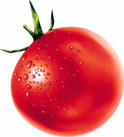 Tomato clipart tomatto ~ Frames ~ Illustrations ~ HD images ~ Photo ...