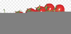 Banner Freeuse Download Cherry Tomato Clipart - Cherry ...