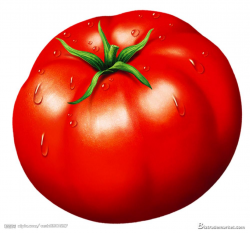 Free Tomatoes Clipart, Download Free Clip Art, Free Clip Art ...