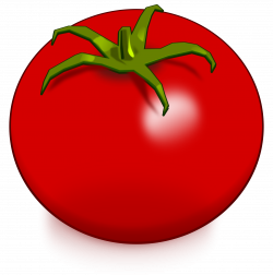 Tomato Drawing Vegetable Clip art - tomato png download ...