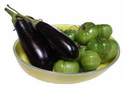 Eggplant PNG Images - PngPix