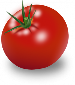 Tomatoes Clip Art at Clker.com - vector clip art online, royalty ...