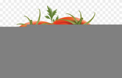 Tomato Clipart Harvest Food - Tomato Png Transparent Png ...