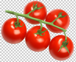 Cherry Tomato Vegetable Icon PNG, Clipart, Bush Tomato ...