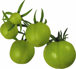 tomatoes png - Free PNG Images | TOPpng