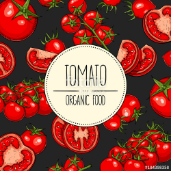 Vector hand-drawn banner with with tomatoes, slices, halves ...