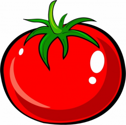Tomato Free vector in Adobe Illustrator ai ( .AI ...