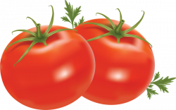 tomato clipart - OurClipart