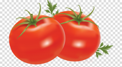 Tomato Cartoon clipart - Vegetable, Food, Salad, transparent ...