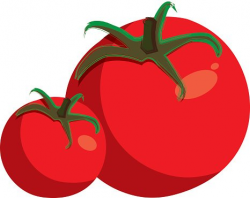 Tomatoes Flat Design premium clipart - ClipartLogo.com