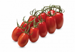 Mini San Marzano Vine Tomatoes - Tomato, Transparent Png ...