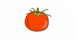 Tomato Illustration Vector and PNG – Free Download | The Graphic Cave