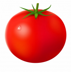 Tomato - Tomato Clipart No Background {#896362} - Pngtube