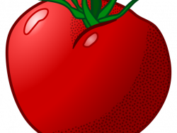 19 Tomato clipart HUGE FREEBIE! Download for PowerPoint ...