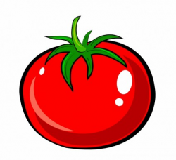 27+ Tomato Clipart | ClipartLook