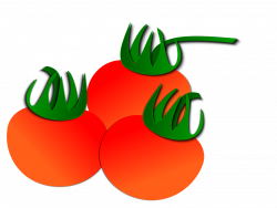 Tomato Vegetables Fruit Clip art - 3 tomatoes transparent ...