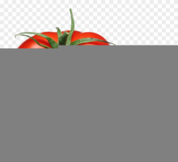 Adorable Red Cute Sad Scyousa - Tomato Png Clipart (#1900181 ...