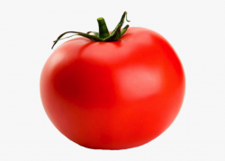 Tomato Png #912374 - Free Cliparts on ClipartWiki