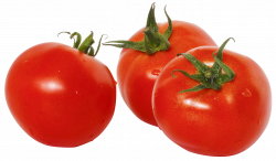 Tomato PNG Image - PurePNG | Free transparent CC0 PNG Image Library