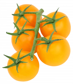 Yellow Tomato PNG Image - PurePNG | Free transparent CC0 PNG Image ...