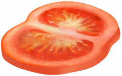 Circle Sliced Tomato PNG Clipart | Gallery Yopriceville ...