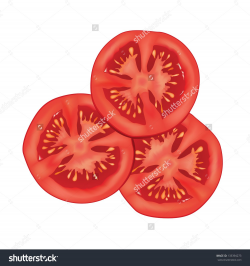 Sliced Tomato Isolated Over White Background. Vector ...