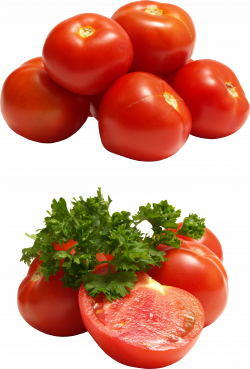 Red Tomatoes PNG Image - PurePNG | Free transparent CC0 PNG Image ...