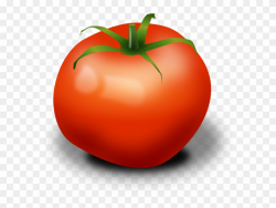 No Tomatoes Small Clipart - Tomato Clipart Transparent ...
