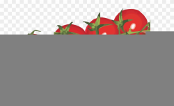 Cherry Tomato Clipart Transparent Background - Png Download ...