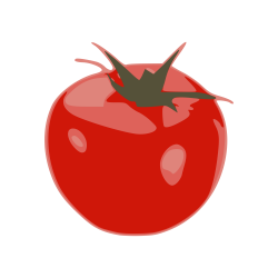 File:Tomato by yamachem.svg - Wikimedia Commons