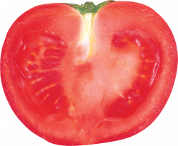 Sauc Sundri Tomato Tyrrel Worcest - Stickers | PNG