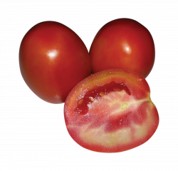 Red Tomato | Freebek