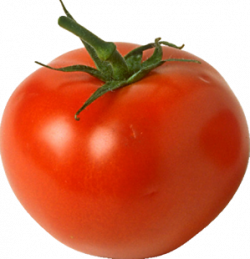 Is a tomato a fruit or a vegetable? - ScienceBob.com
