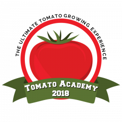 Grow More Tomatoes With Tomato Academy