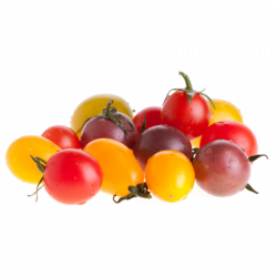 Tushita Cherry Tomato