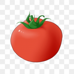 Red Tomatoes Png, Vector, PSD, and Clipart With Transparent ...