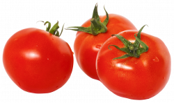 Three Tomatoes with Green Leaves PNG Image - PurePNG | Free ...