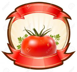 tomato sauce label design - Google Search | Tomato Sauce ...