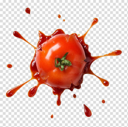 Tomato splash illustration, Italian cuisine Tomato sauce ...