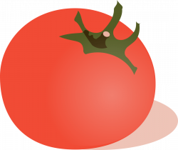 tomato | farm