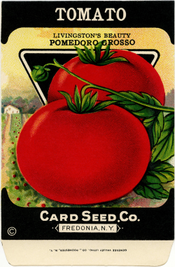 Free Vintage Clip Art Tomato Seed Packet - Old Design Shop Blog