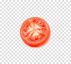 Slice of tomato illustration, Tomato juice Cherry tomato ...