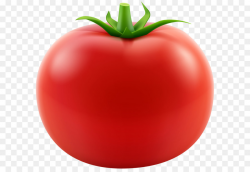 Free Transparent Tomato, Download Free Clip Art, Free Clip ...